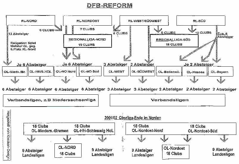 Schaubild DFB-Reform